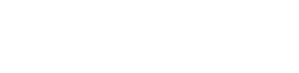 Global Internet de Fibra Óptica